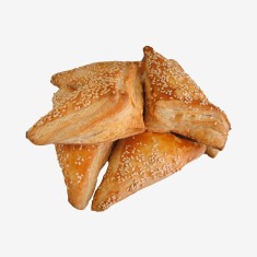 Sed vitae odio scelerisque