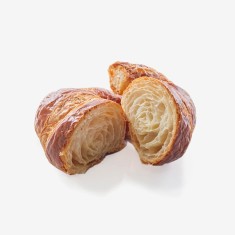 Morbi et turpis pharetra