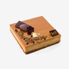 Sed vitae odio scelerisque