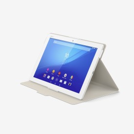 Phasellus convallis ex at