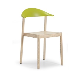 Phasellus convallis ex at