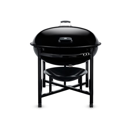 Cuisinart CCG-190 Portable Charcoal Grill, 14-Inch, Black