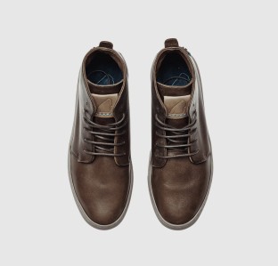 Phasellus convallis ex at