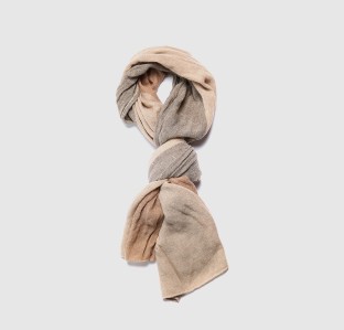 Sed vitae odio scelerisque