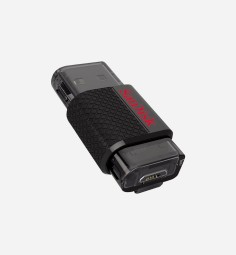 Pellentesque sagittis risus