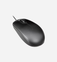 Aliquam et lectus id justo