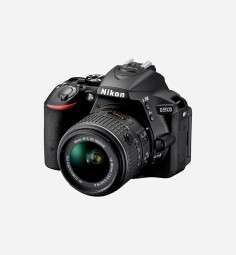 Pellentesque sagittis risus