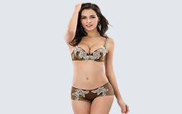 Lingerie