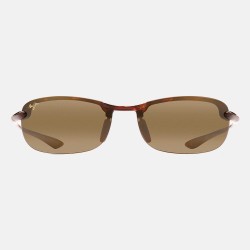 Pellentesque sagittis risus