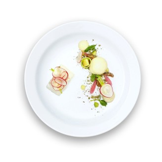 Sed vitae odio scelerisque