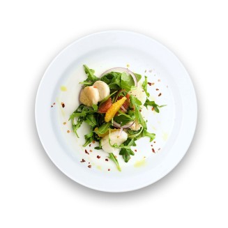 Phasellus convallis ex at