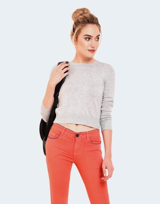 Phasellus convallis ex at